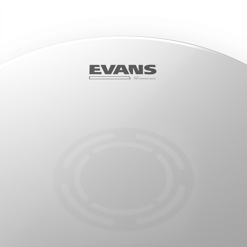 evans-uv1-reverse-dot-peau-caisse-claire-sabl-e-1-pli image 3