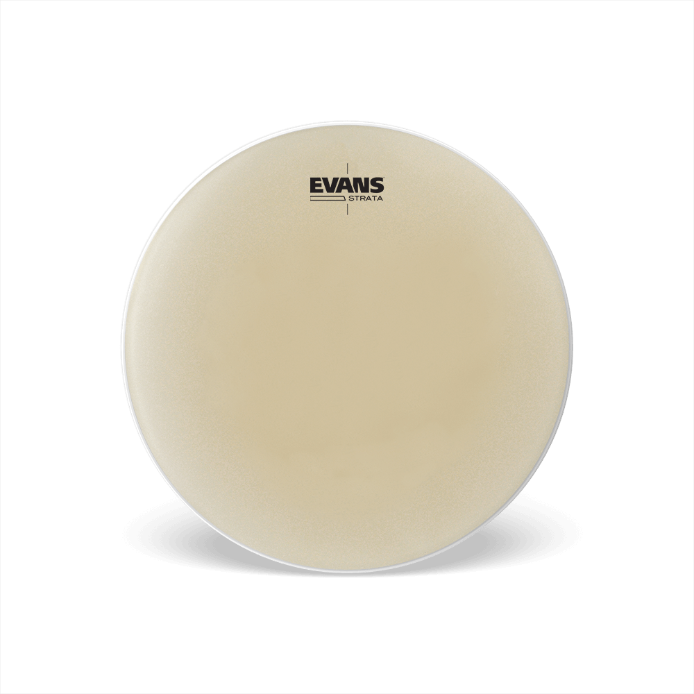 evans-strata-peau-timbale-strata-timpani-aspect-peau-naturelle image 4