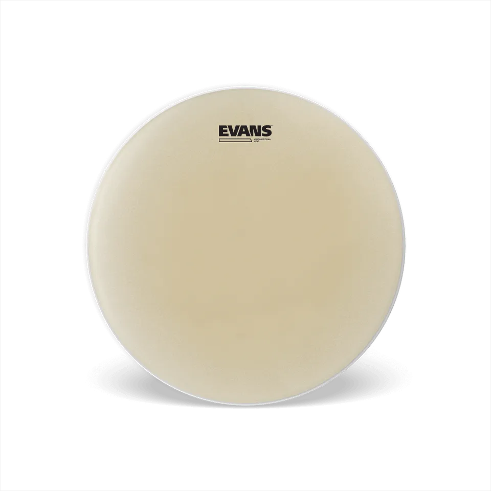 evans-hazy-orchestral-200-peau-timbre-14-pouces image 1