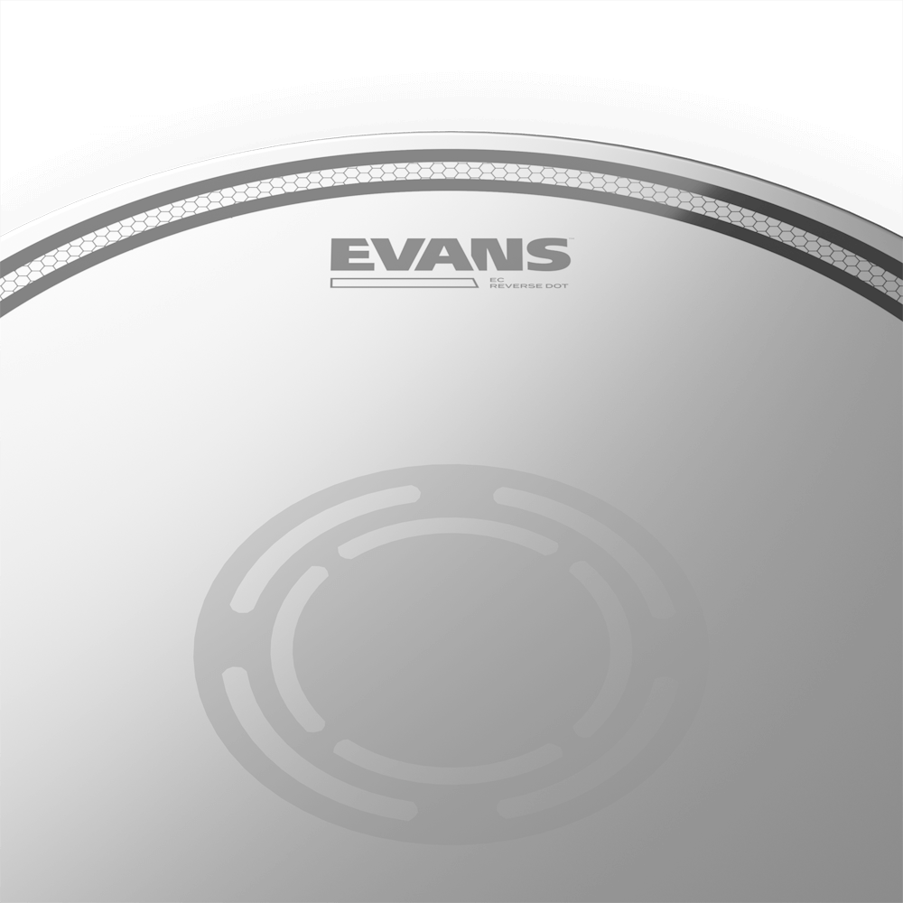 evans-ec2-ec-reverse-dot-peau-caisse-claire image 5