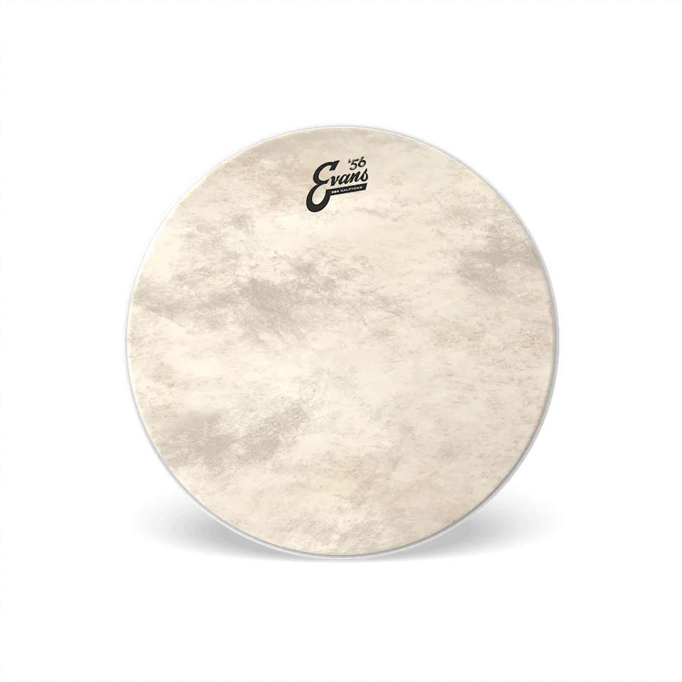 evans-eq4-calftone-peau-grosse-caisse-22-aspect-peau image 1