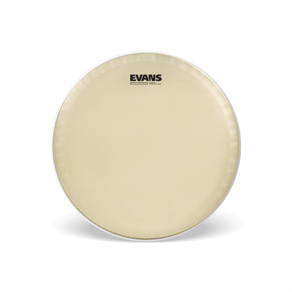 evans-strata-staccato-1000-peau-caisse-claire-14-aspect-veau image 1