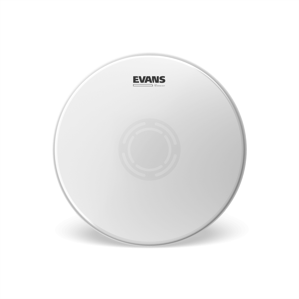 evans-uv1-reverse-dot-peau-caisse-claire-sabl-e-1-pli image 2
