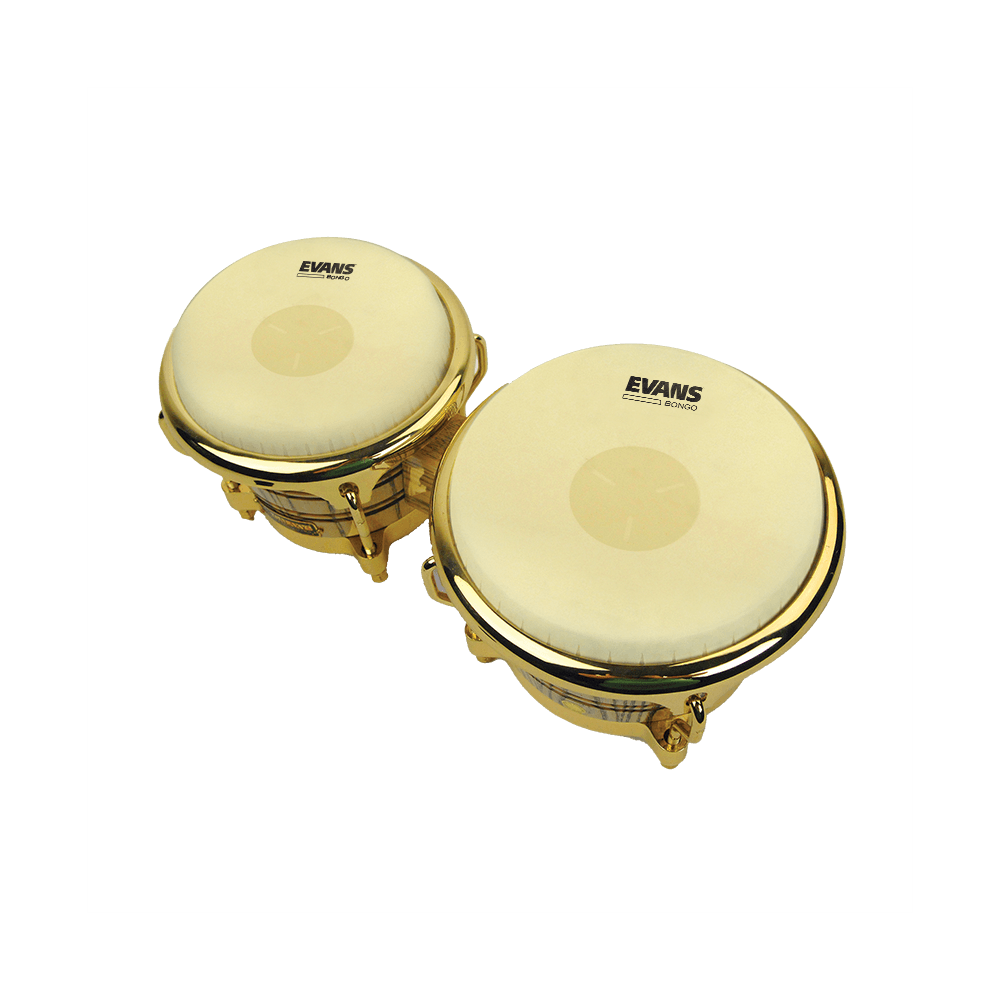 evans-calftone-bongo-tri-center-peau-percussion image 4