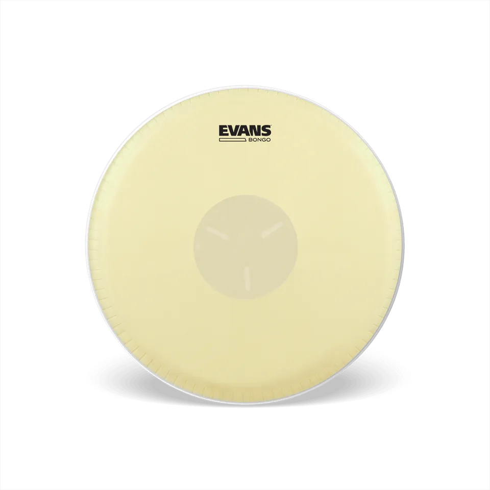 evans-calftone-bongo-tri-center-peau-percussion image 1