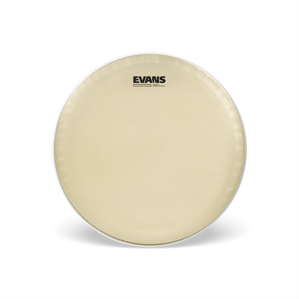 evans-strata-staccato-1000-peau-caisse-claire-14-aspect-veau image 1