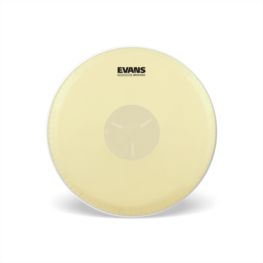 evans-calftone-bongo-tri-center-peau-percussion image 1