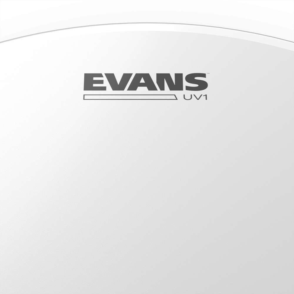 evans-uv1-peau-de-timbale-14-sabl-e-10-mil image 8